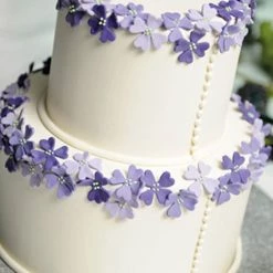 CheapPASTRY, ICING Store -CheapPASTRY, ICING Store KCICESMO Sweetly Does It Icing Smoother 1